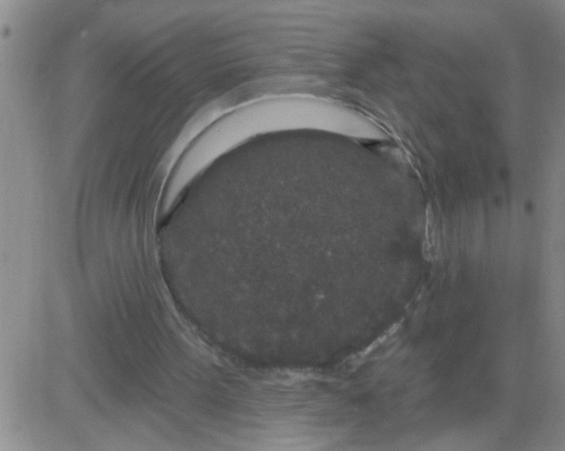 X0000083990099200703021950