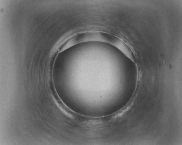 X0000083990101200703021950