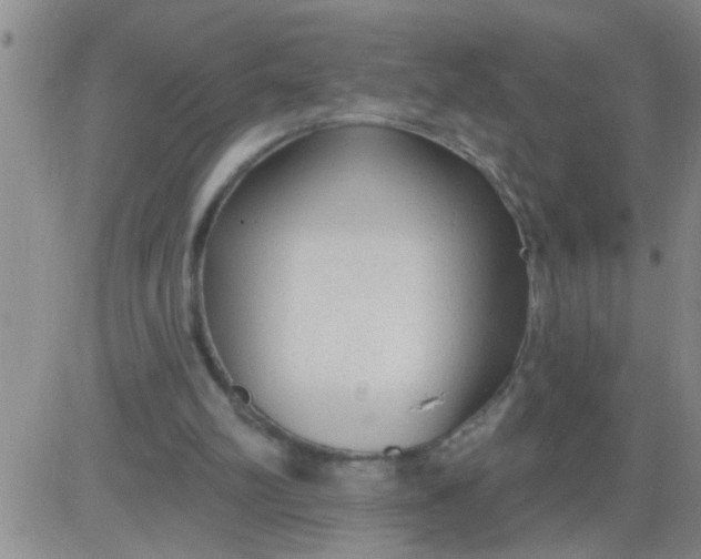 X0000083990102200703021950