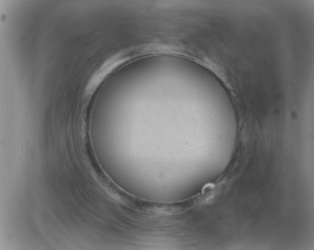 X0000083990103200703021950