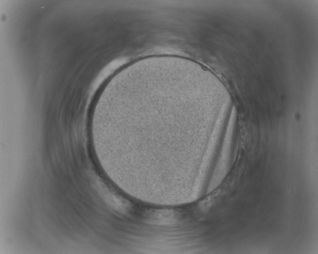 X0000083990104200703021950