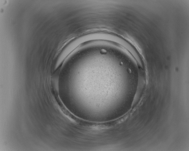 X0000083990105200703021950