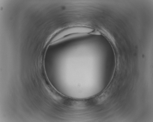 X0000083990107200703021950