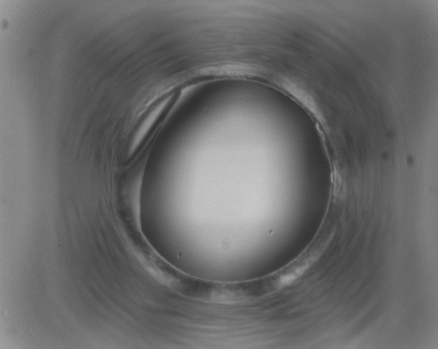 X0000083990109200703021949