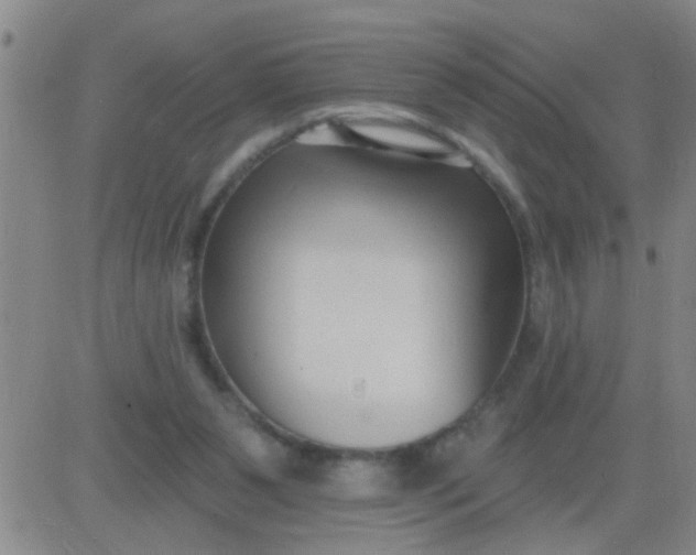 X0000083990111200703021949