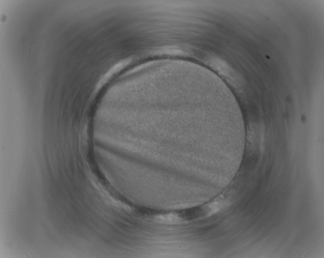 X0000083990112200703021949