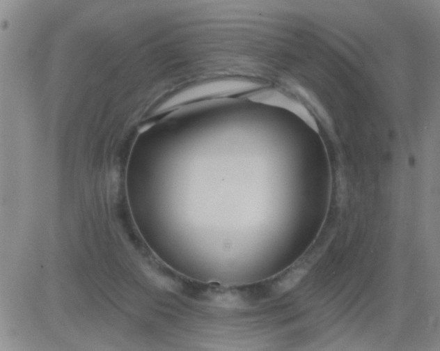 X0000083990113200703021949