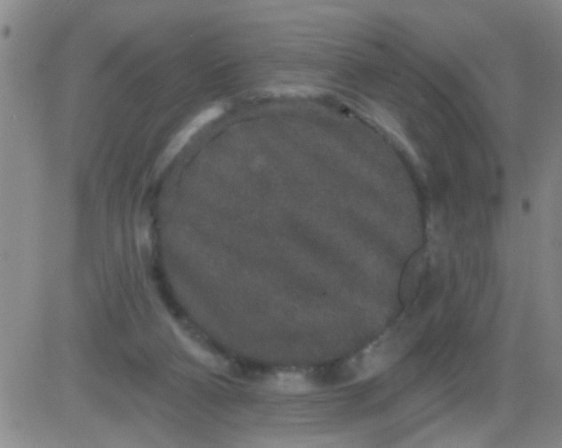 X0000083990114200703021949