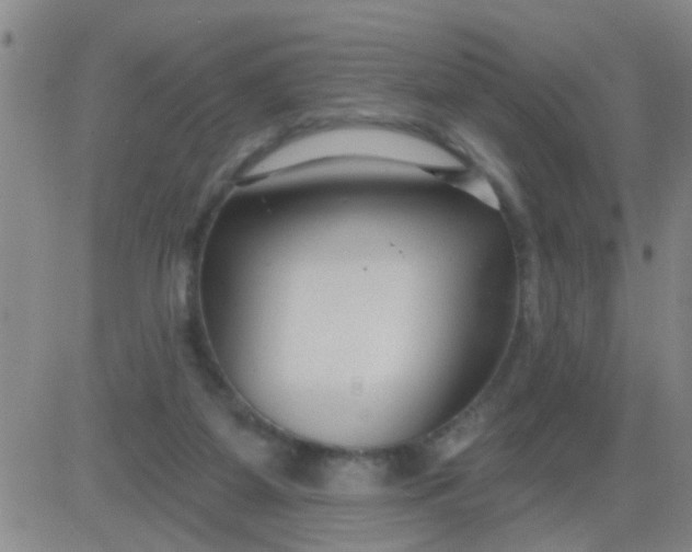 X0000083990115200703021949