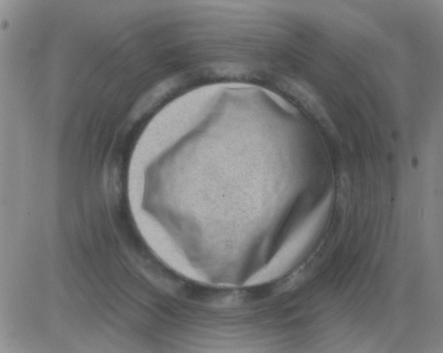 X0000083990116200703021949