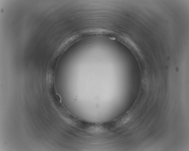 X0000083990119200703021949