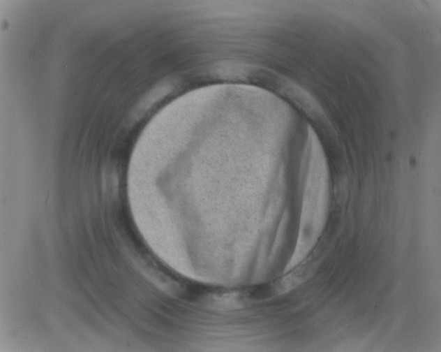 X0000083990120200703021949