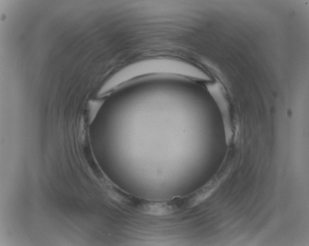 X0000083990121200703021949