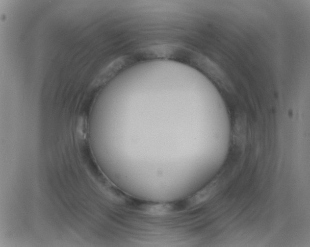 X0000083990122200703021949