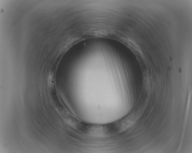 X0000083990123200703021949