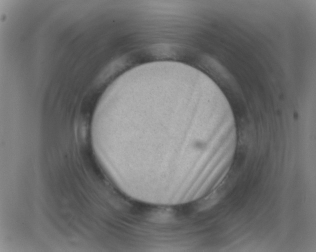 X0000083990124200703021949