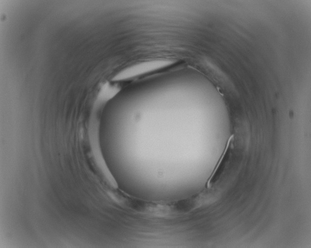 X0000083990125200703021949