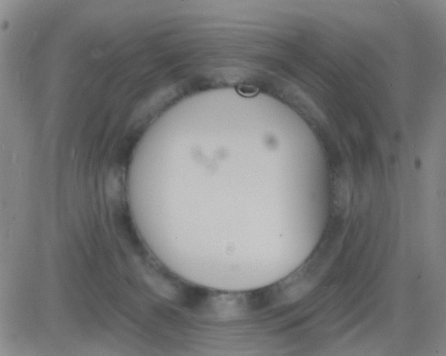 X0000083990126200703021949