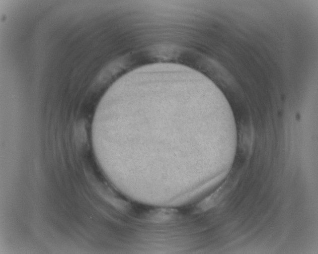 X0000083990128200703021949