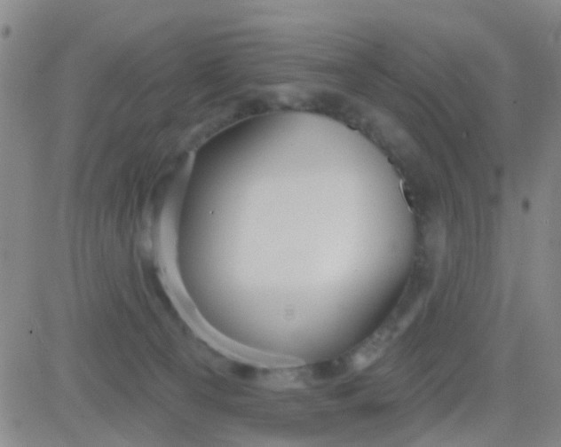 X0000083990129200703021949