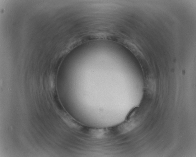 X0000083990131200703021949