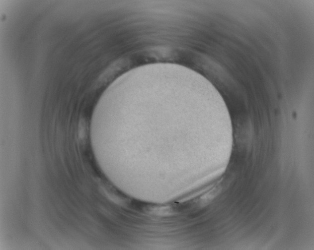 X0000083990132200703021949