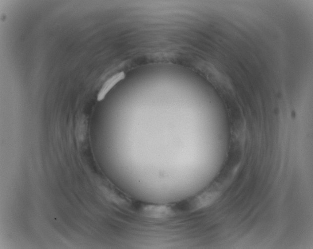 X0000083990133200703021949