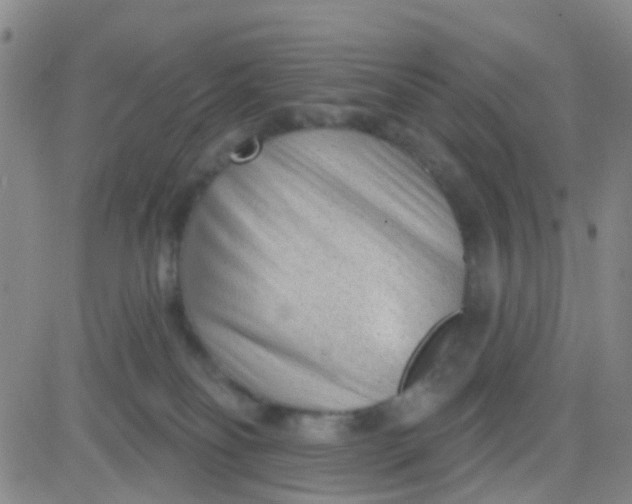 X0000083990134200703021949