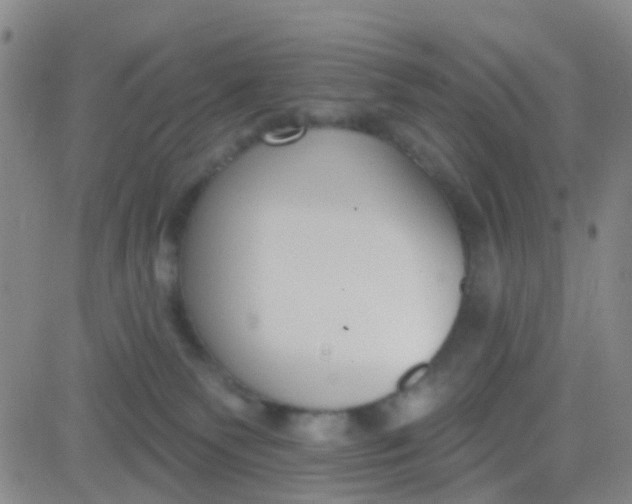 X0000083990135200703021949