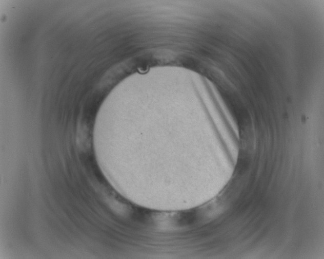 X0000083990136200703021949