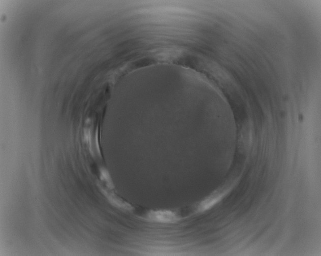 X0000083990137200703021949