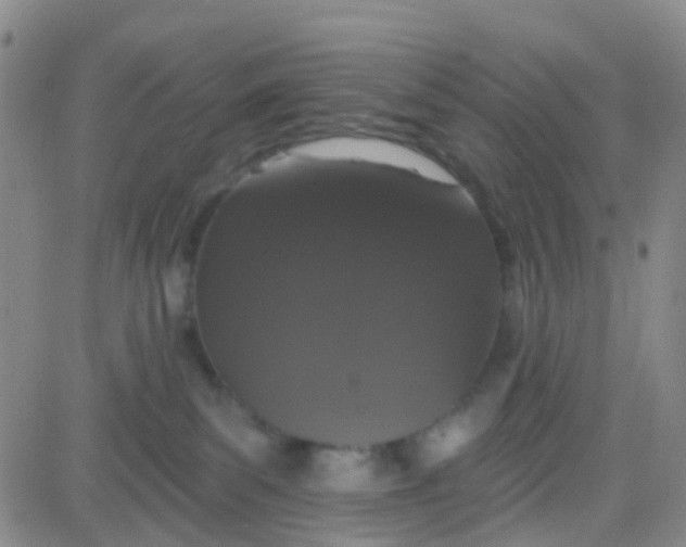 X0000083990139200703021949