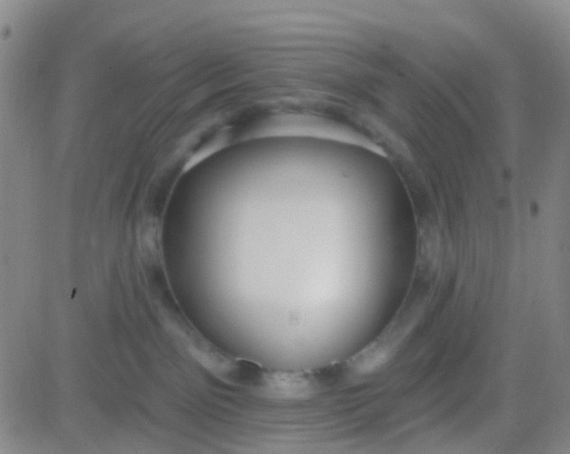 X0000083990141200703021949