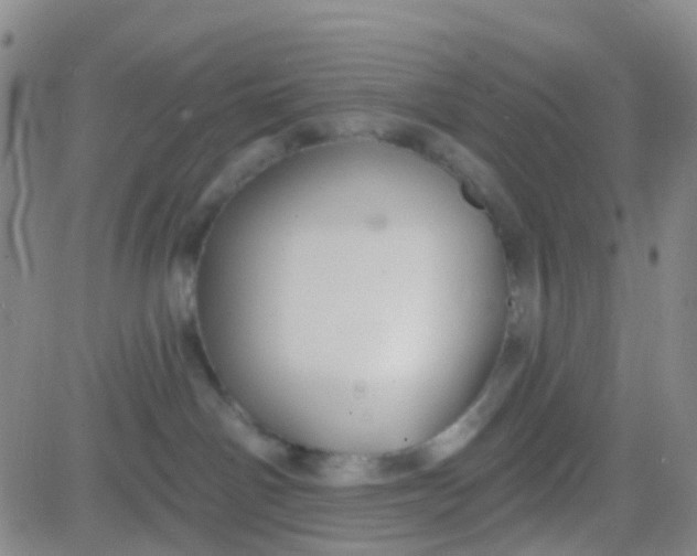 X0000083990142200703021949