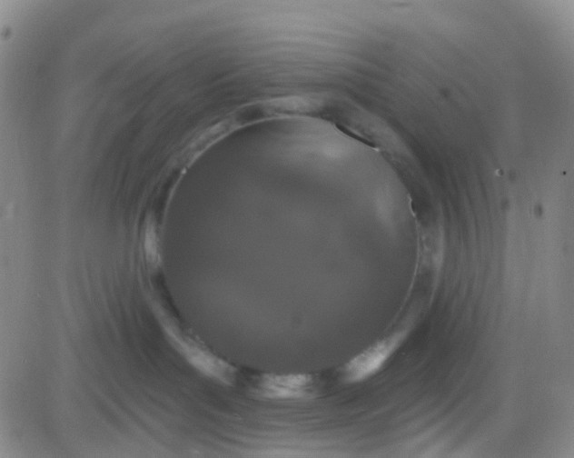 X0000083990143200703021949