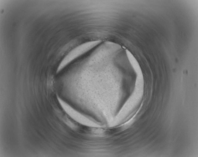 X0000083990144200703021949