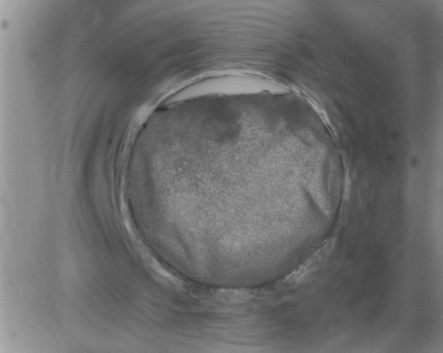 X0000083990145200703021948