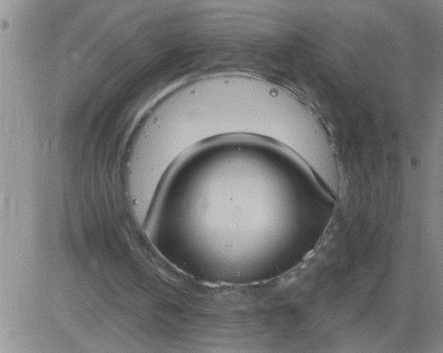 X0000083990146200703021948