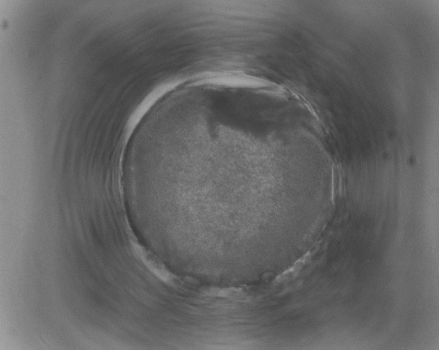 X0000083990147200703021948