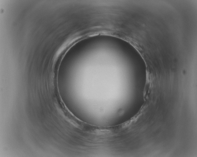 X0000083990150200703021948