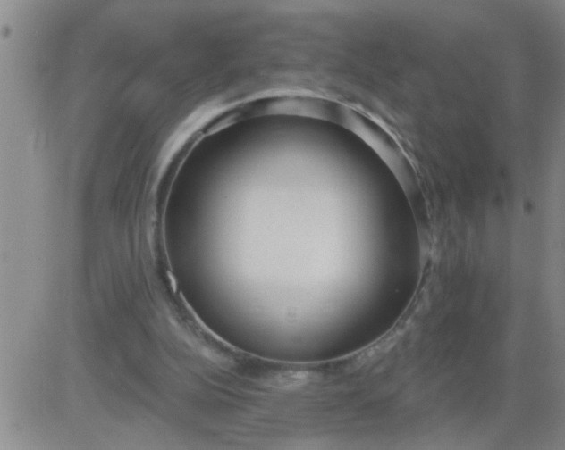 X0000083990152200703021948