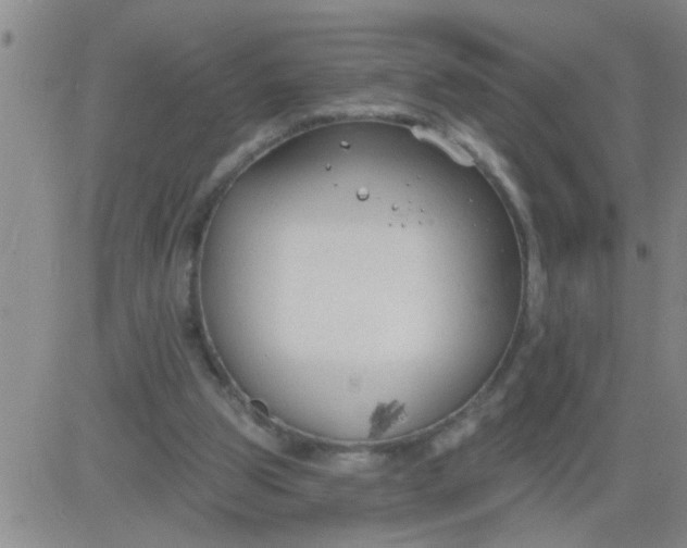 X0000083990153200703021948