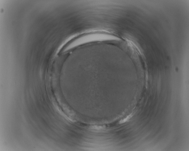 X0000083990156200703021948