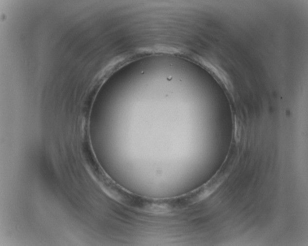 X0000083990157200703021948