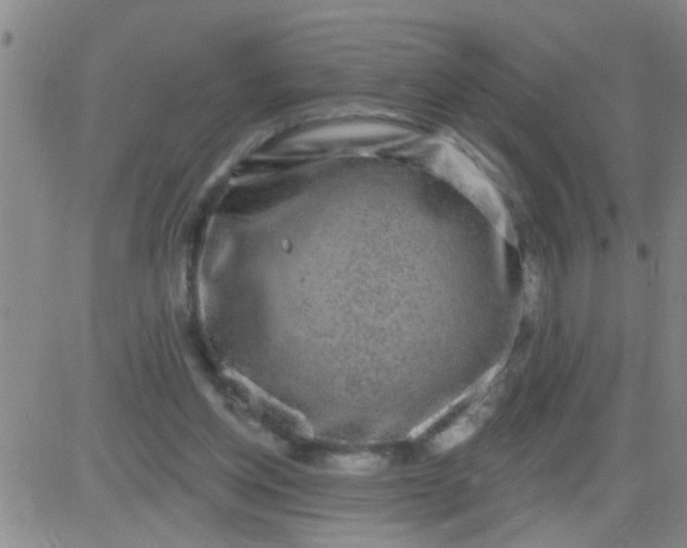 X0000083990158200703021948