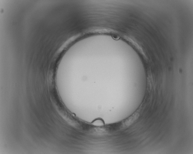 X0000083990159200703021948