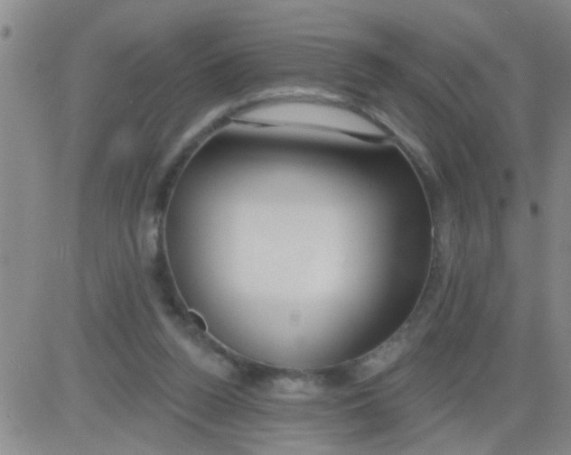 X0000083990160200703021948