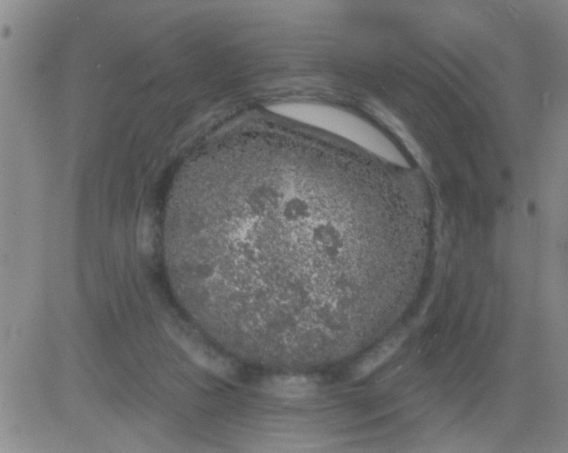 X0000083990161200703021948