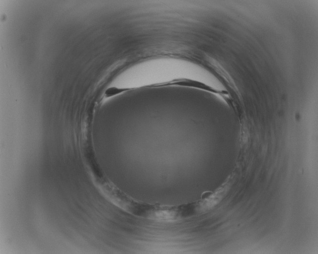 X0000083990163200703021948