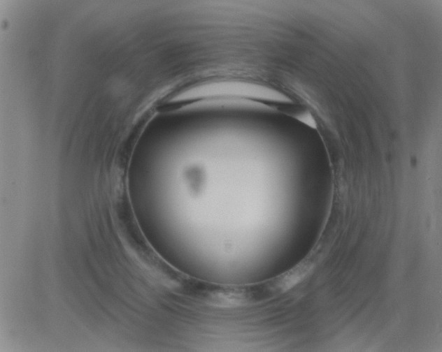 X0000083990164200703021948